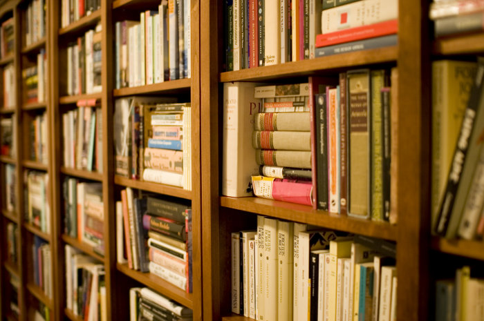 Хорошая аранжировка заставит нас иметь в квартире внушительную «стенку книг»